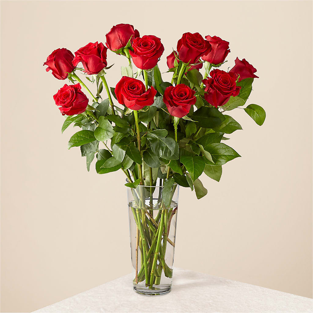 Long Stem Red Rose Bouquet – Ellijay Florist And Gifts, Ellijay GA