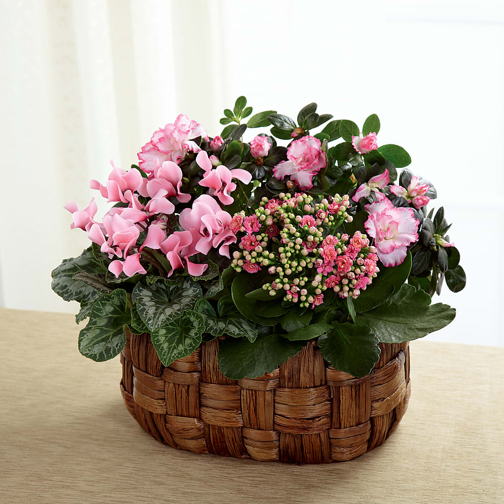 Pink Assortment – Ellijay Florist And Gifts, Ellijay GA