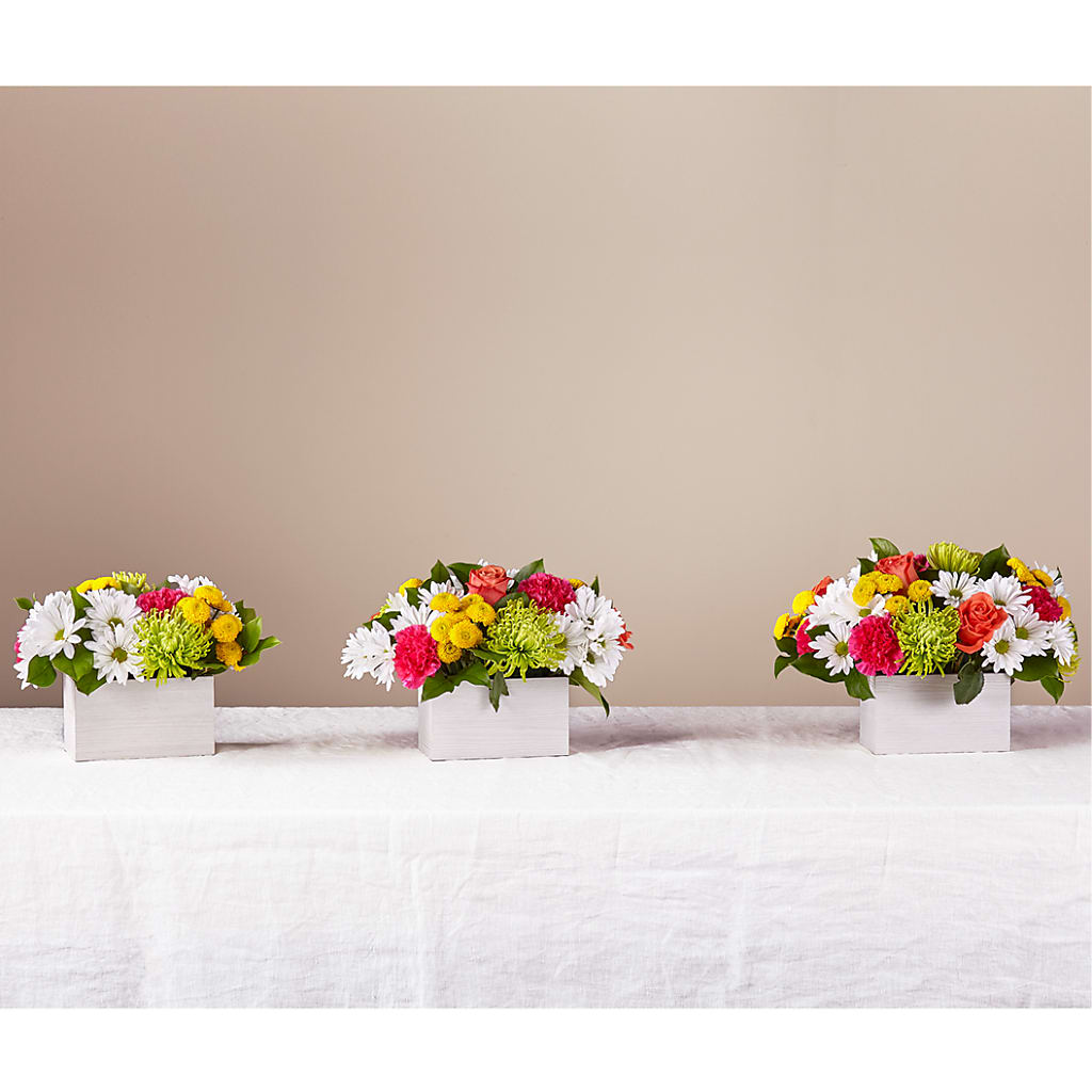 Sorbet Bouquet – Ellijay Florist And Gifts, Ellijay GA