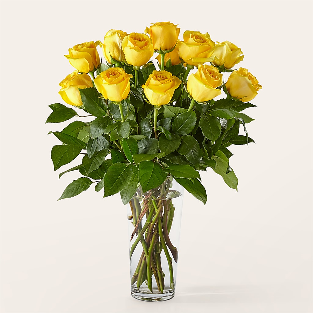 Long Stem Yellow Rose Bouquet – Ellijay Florist And Gifts, Ellijay GA