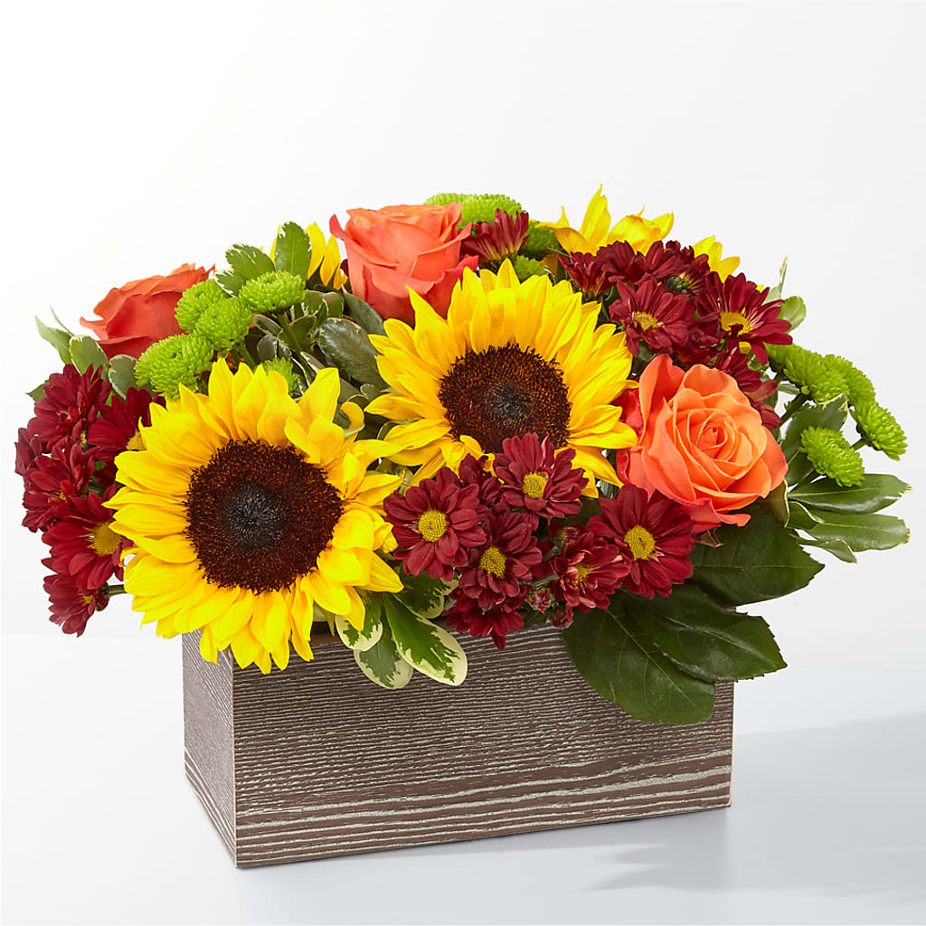 Happy Harvest Garden – Ellijay Florist And Gifts, Ellijay GA