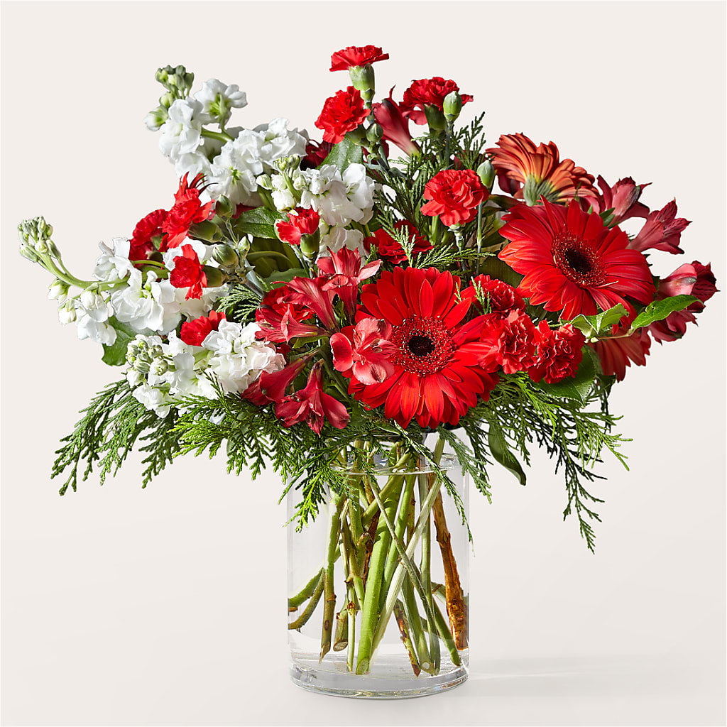 Holidaisy Bouquet – Ellijay Florist And Gifts, Ellijay GA
