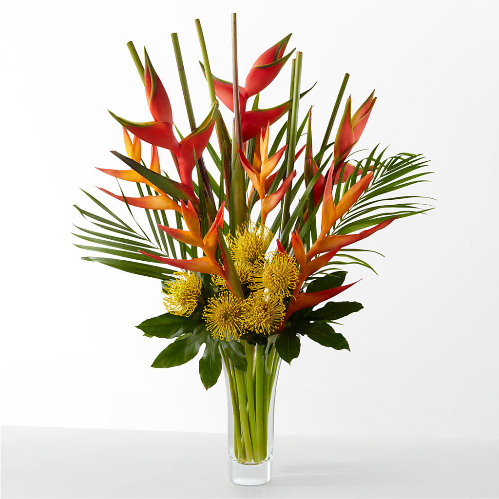 The Drama – Ellijay Florist And Gifts, Ellijay GA