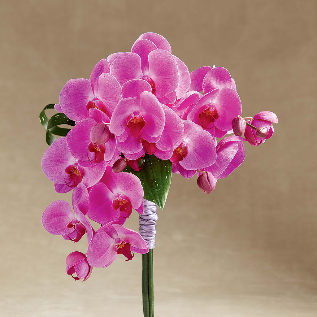 Glorious Bouquet – Ellijay Florist And Gifts, Ellijay GA