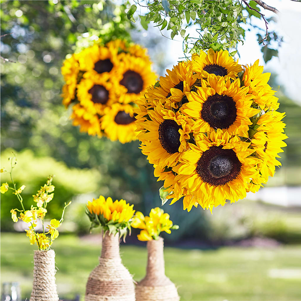 Sublime Garden Hanging Arrangement – Ellijay Florist And Gifts, Ellijay GA
