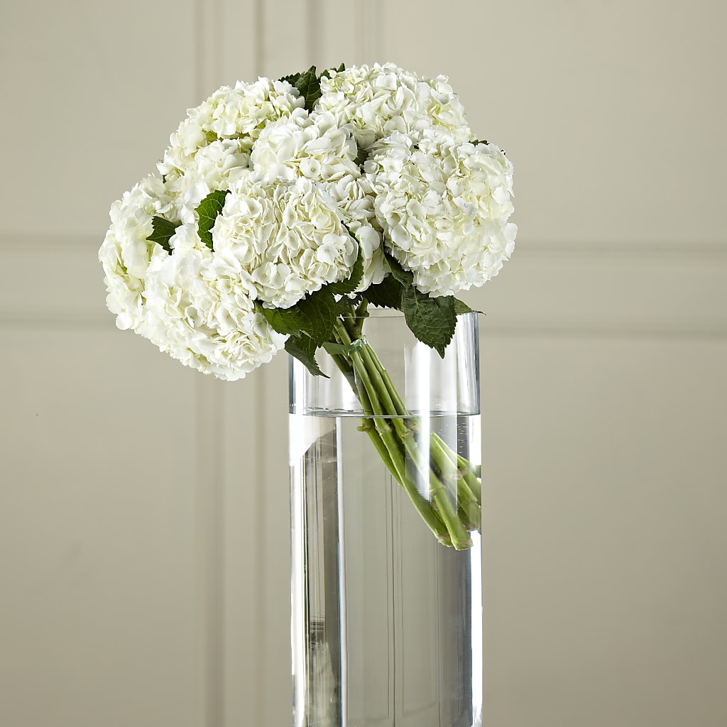 White Hydrangea Hand-Tied Bouquet – Ellijay Florist And Gifts, Ellijay GA
