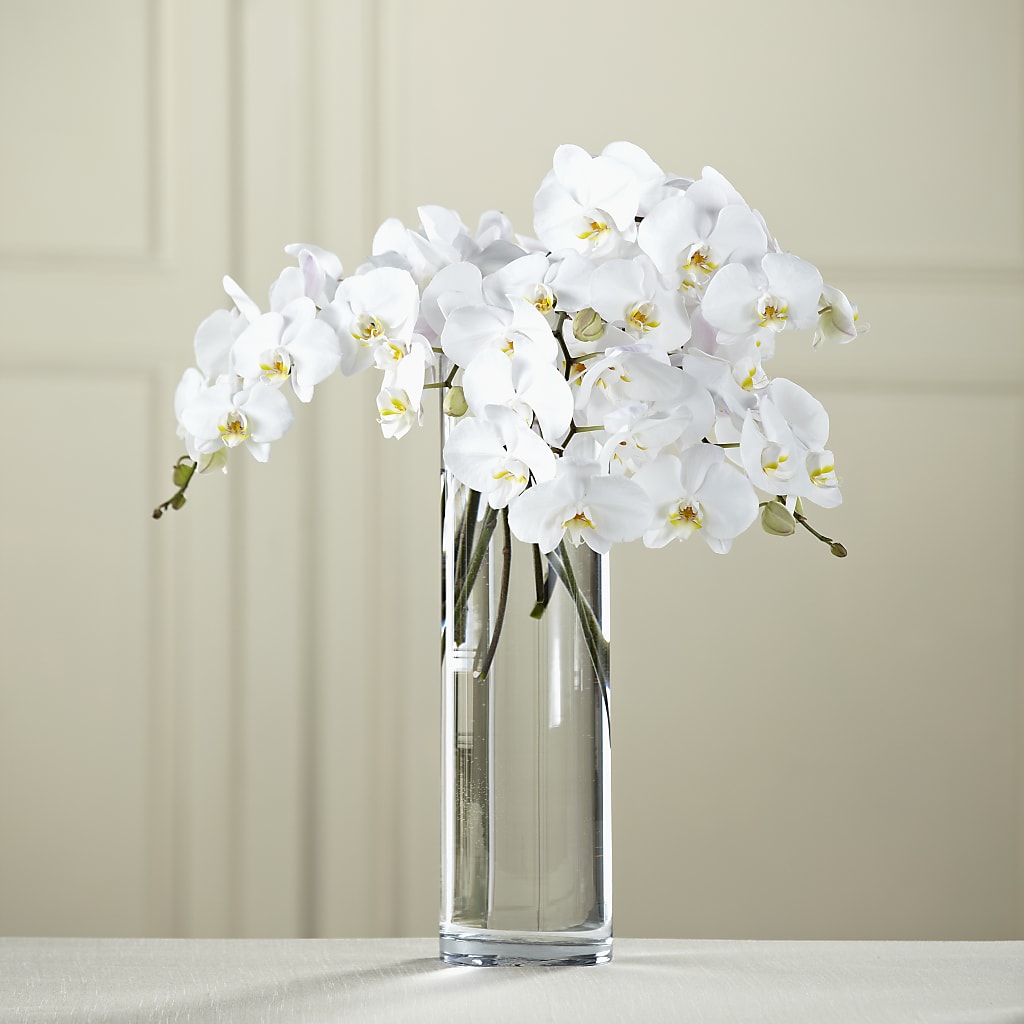 White Phalaenopsis Bouquet – Ellijay Florist And Gifts, Ellijay GA