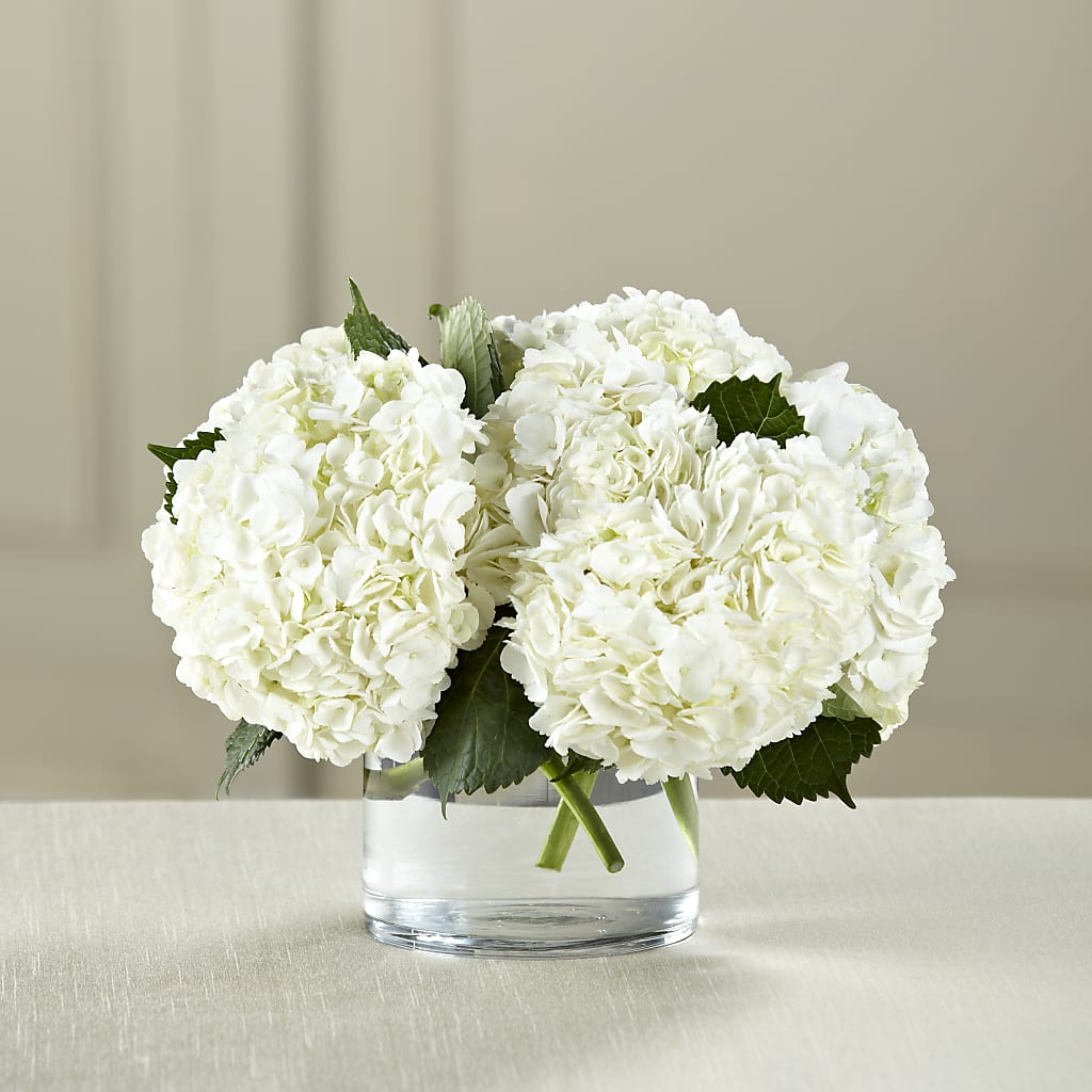 White Hydrangea Bouquet – Ellijay Florist And Gifts, Ellijay GA