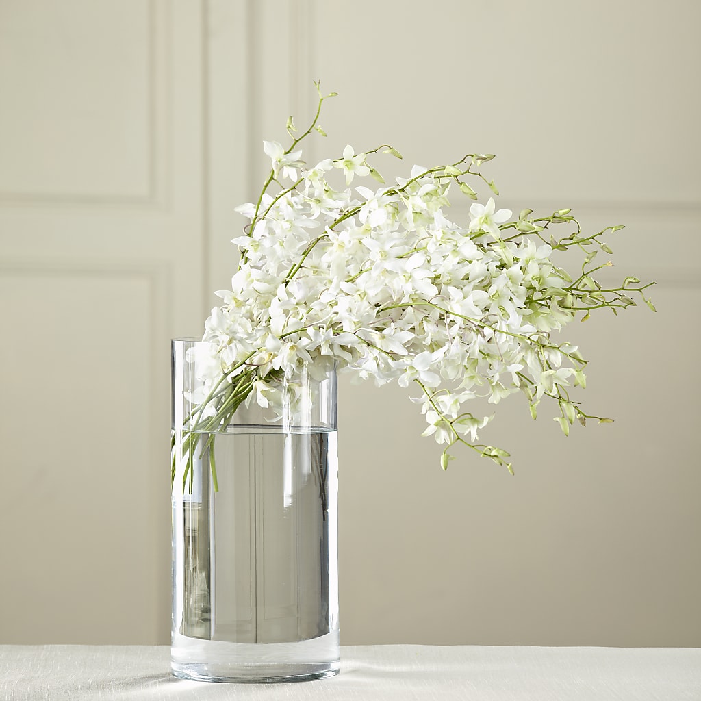 White Dendrobium Bouquet – Ellijay Florist And Gifts, Ellijay GA