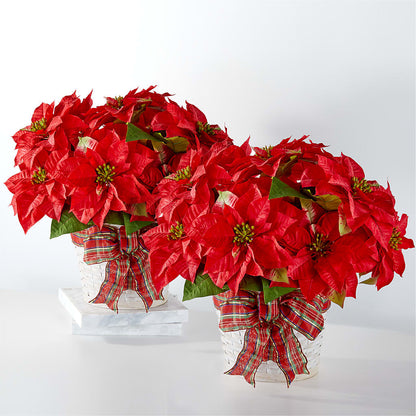 Happiest Holidays Poinsettia Bundle –  Ellijay Florist And Gifts, Ellijay GA