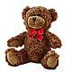 Adorable Plush Bear –  Ellijay Florist And Gifts, Ellijay GA