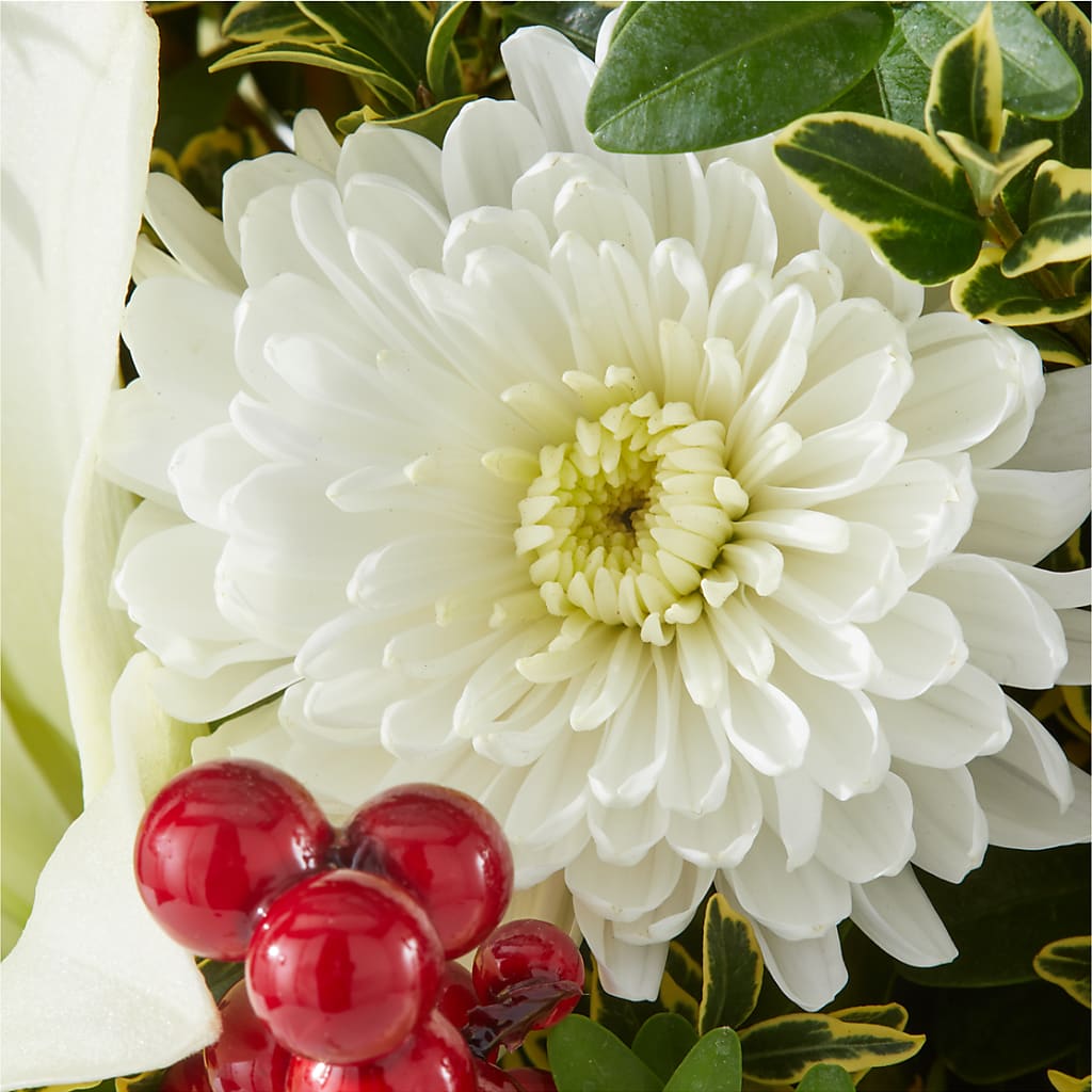 Festive Moments Tree –  Ellijay Florist And Gifts, Ellijay GA