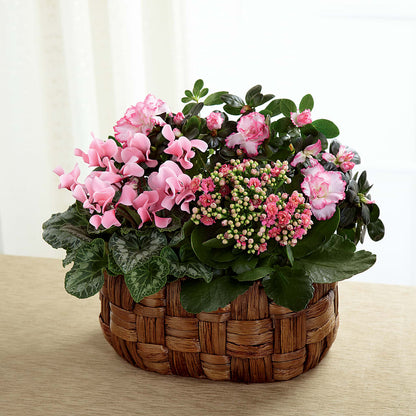 Pink Assortment –  Ellijay Florist And Gifts, Ellijay GA