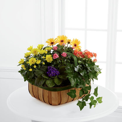 Gentle Blossoms Basket –  Ellijay Florist And Gifts, Ellijay GA