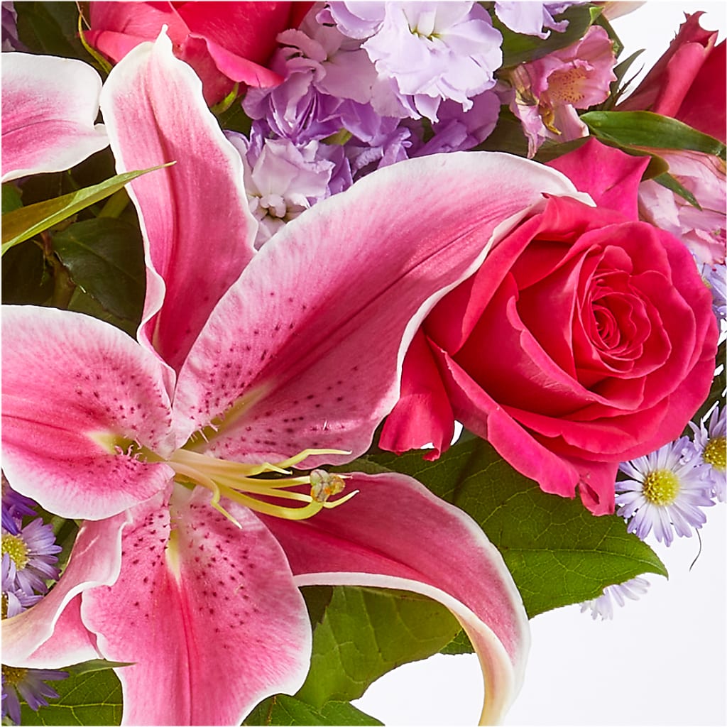 Written in the Stars Bouquet –  Ellijay Florist And Gifts, Ellijay GA