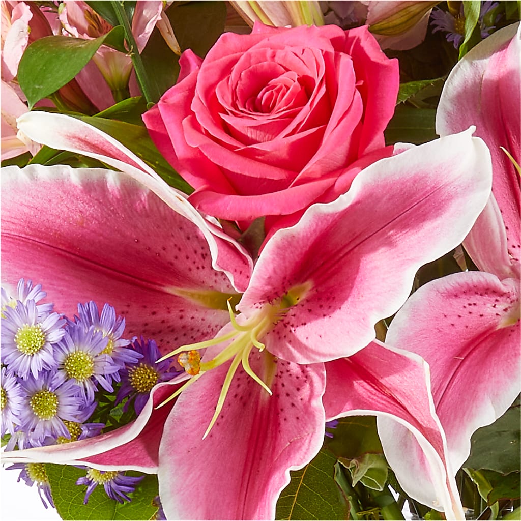 Written in the Stars Bouquet –  Ellijay Florist And Gifts, Ellijay GA
