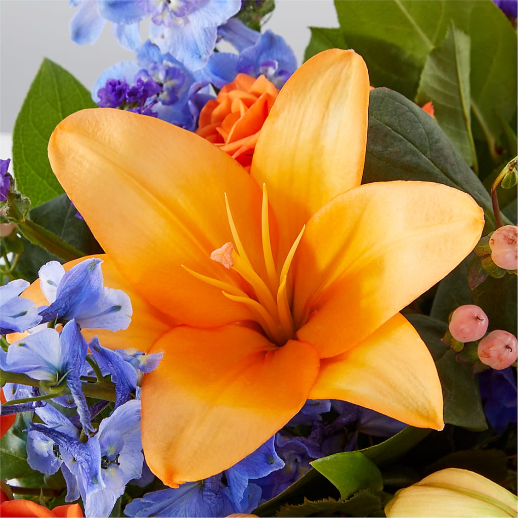 Radiant Citrus Box Bouquet –  Ellijay Florist And Gifts, Ellijay GA