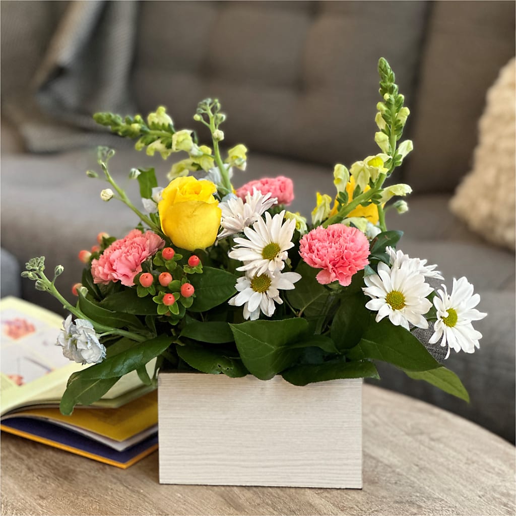 Sun Salutation Box Bouquet –  Ellijay Florist And Gifts, Ellijay GA