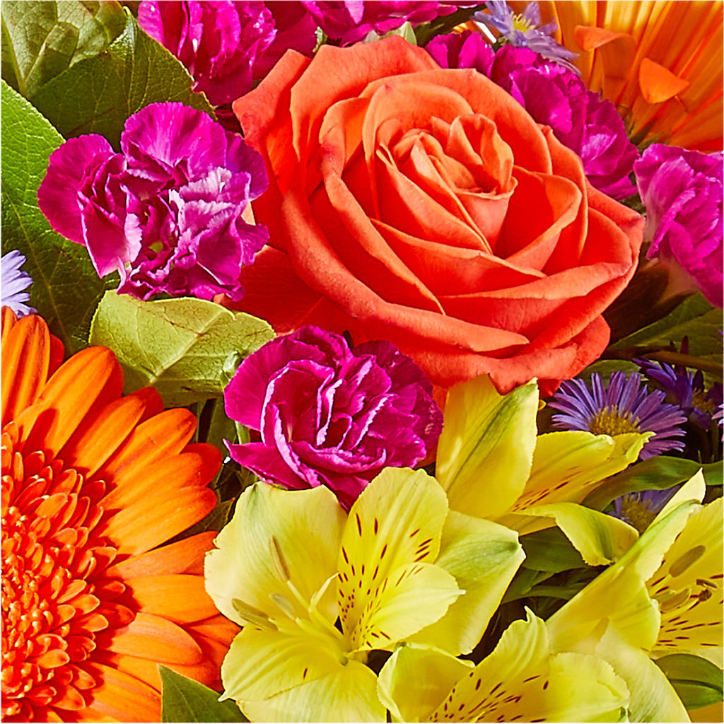Tricks & Treats Pumpkin –  Ellijay Florist And Gifts, Ellijay GA