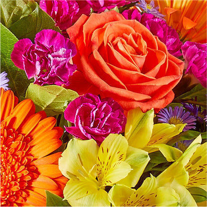 Tricks & Treats Pumpkin –  Ellijay Florist And Gifts, Ellijay GA