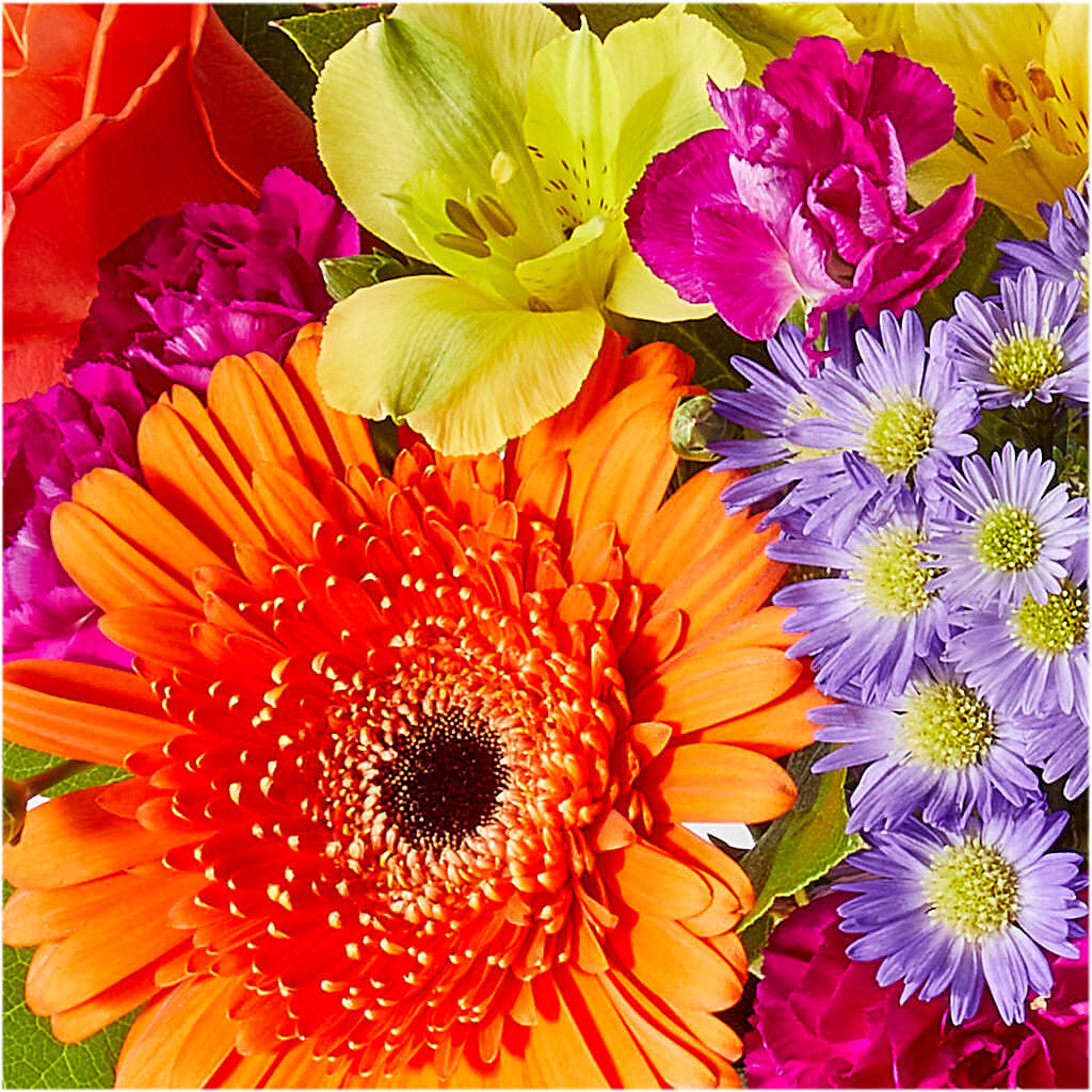 Tricks & Treats Pumpkin –  Ellijay Florist And Gifts, Ellijay GA