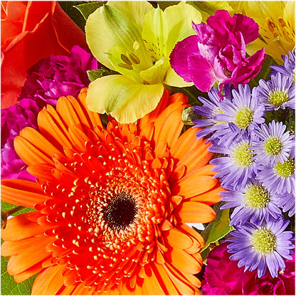 Tricks & Treats Pumpkin –  Ellijay Florist And Gifts, Ellijay GA