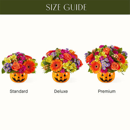 Tricks & Treats Pumpkin –  Ellijay Florist And Gifts, Ellijay GA