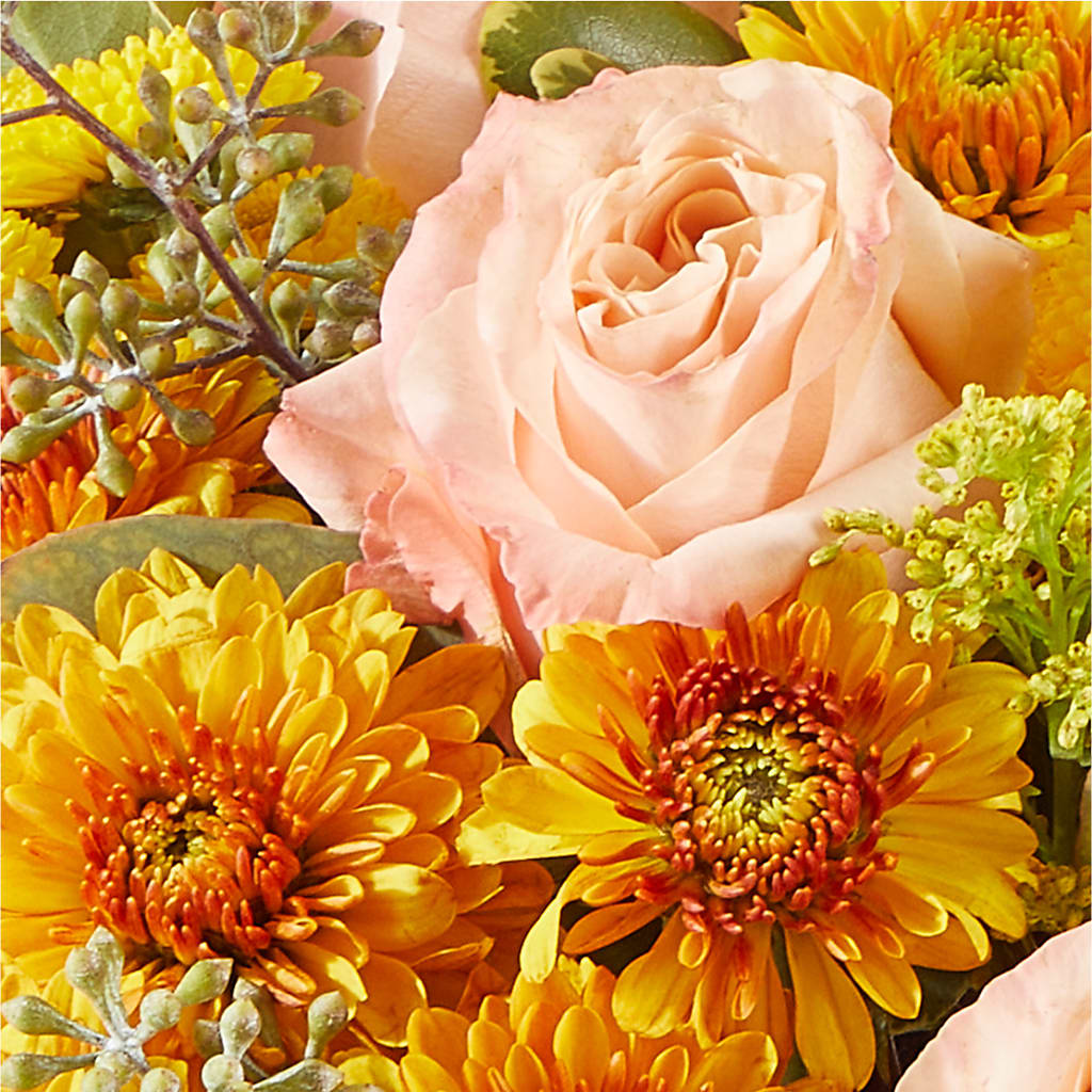 Peachy Pumpkin –  Ellijay Florist And Gifts, Ellijay GA