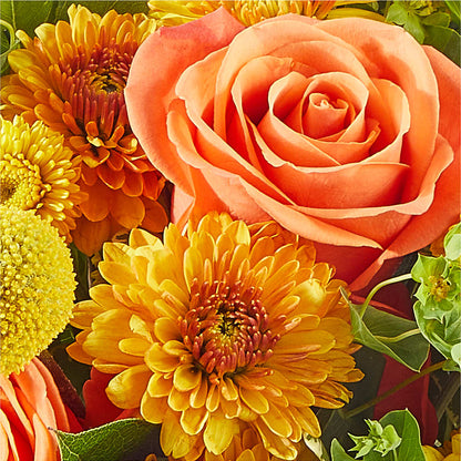 Gourdgeous Pumpkin –  Ellijay Florist And Gifts, Ellijay GA