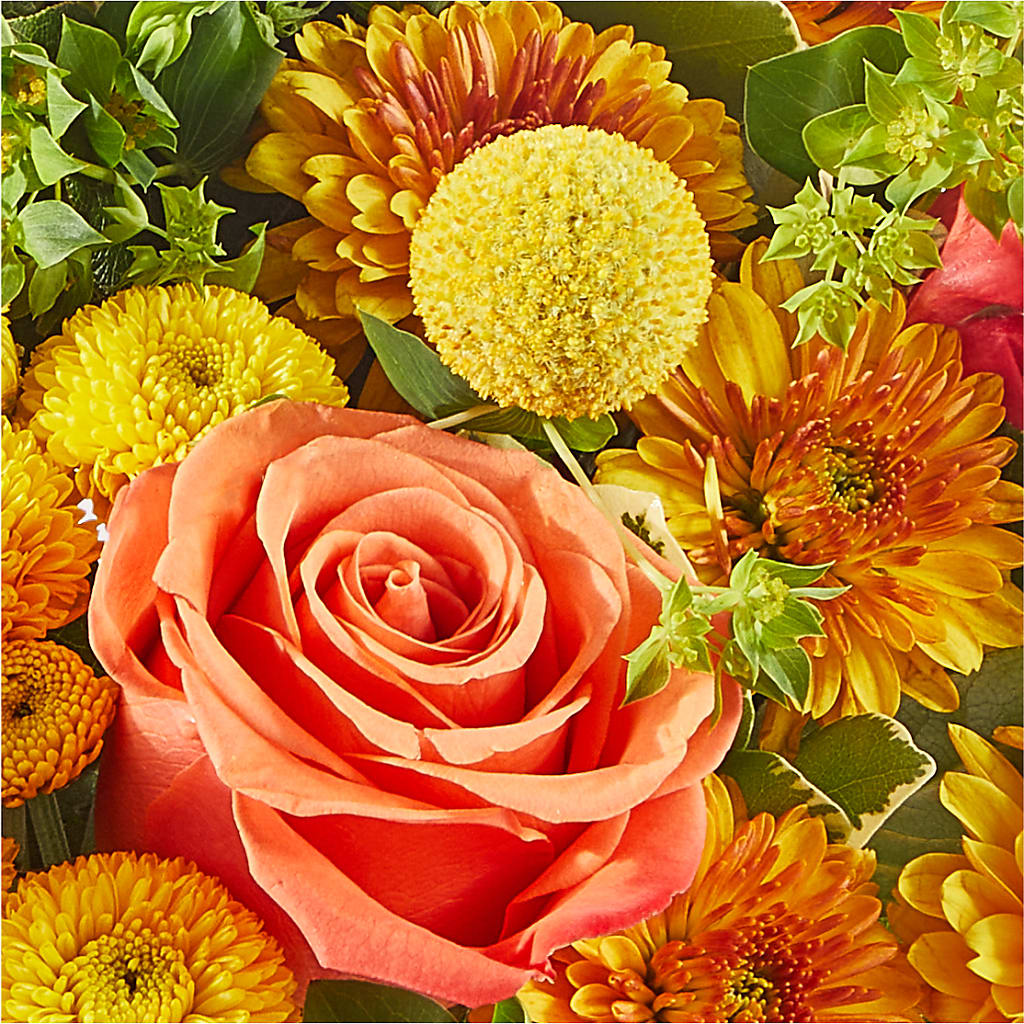 Gourdgeous Pumpkin –  Ellijay Florist And Gifts, Ellijay GA