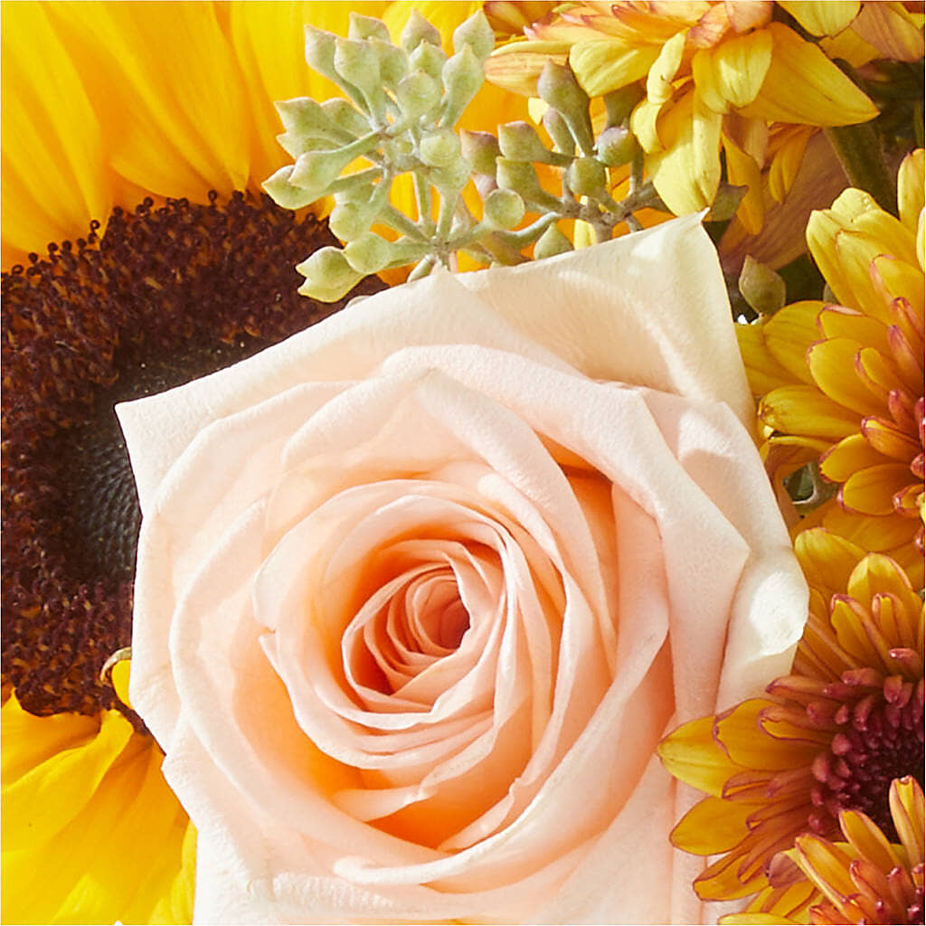 Pumpkin to Talk About Bouquet –  Ellijay Florist And Gifts, Ellijay GA