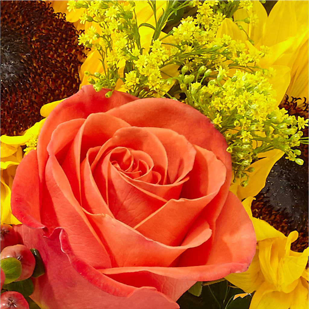 Pick of the Patch Pumpkin Bouquet –  Ellijay Florist And Gifts, Ellijay GA