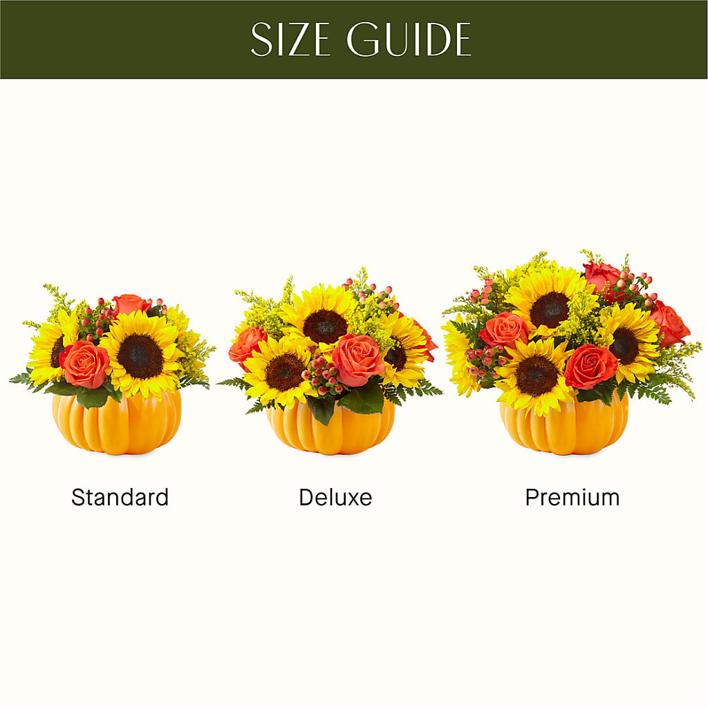 Pick of the Patch Pumpkin Bouquet –  Ellijay Florist And Gifts, Ellijay GA