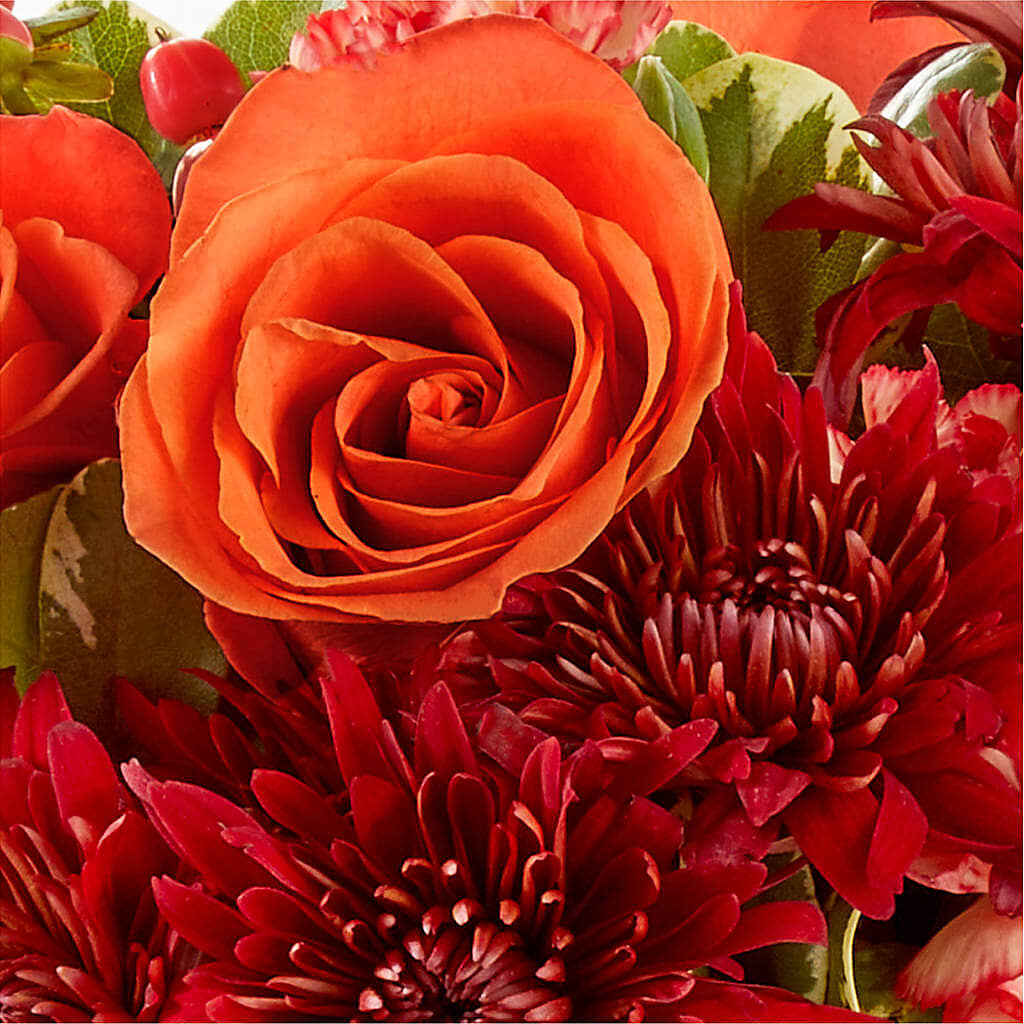 Autumn Air Pumpkin Bouquet –  Ellijay Florist And Gifts, Ellijay GA