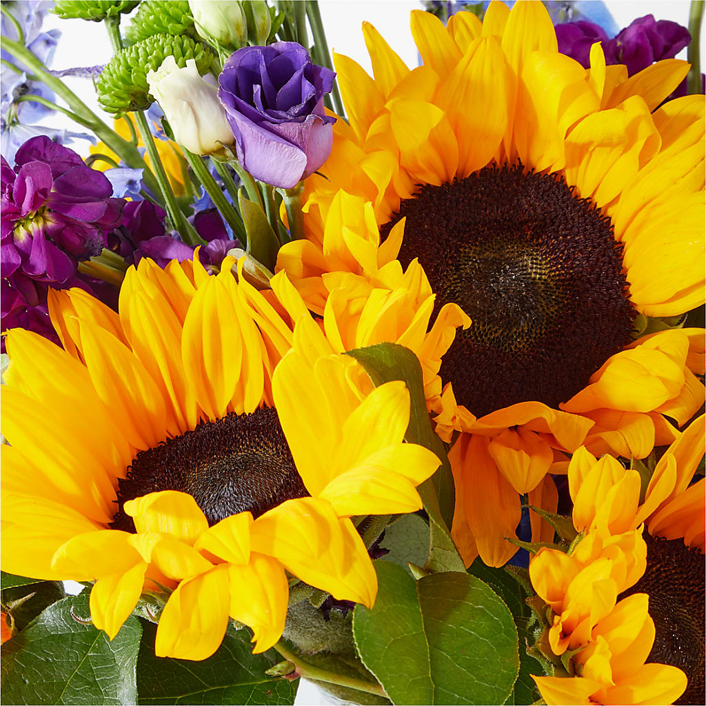 Catching Rays Bouquet –  Ellijay Florist And Gifts, Ellijay GA