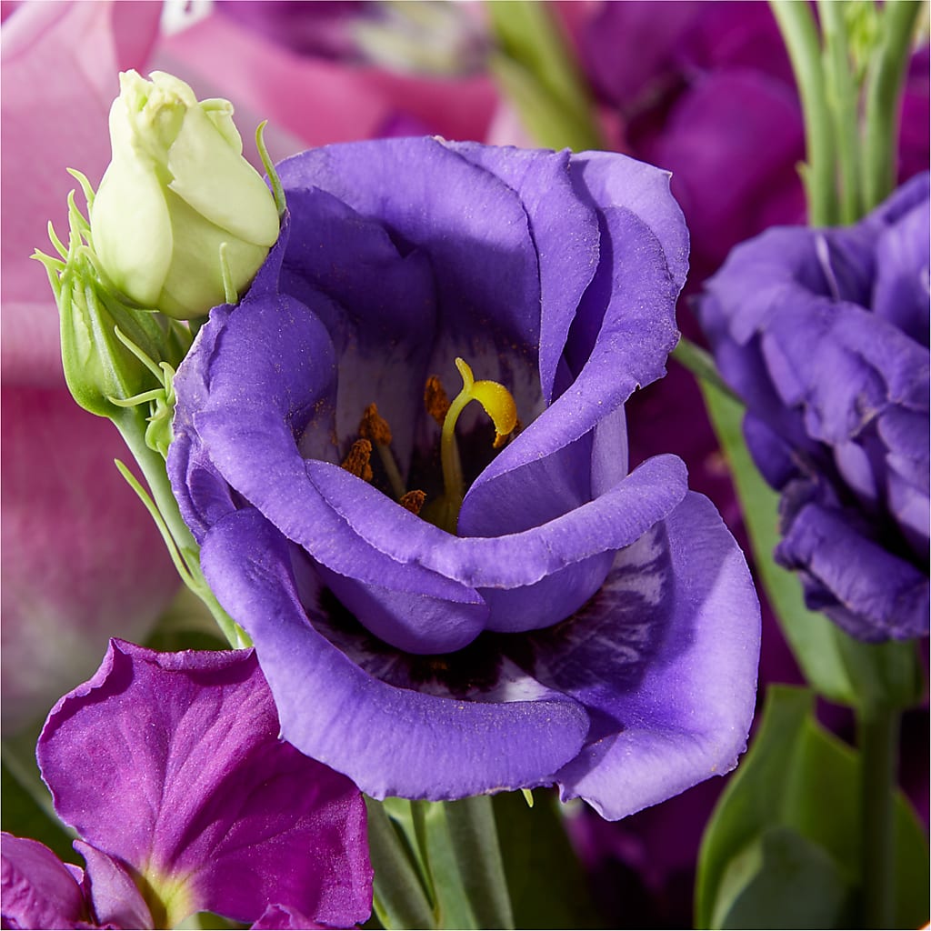Twilight Glow Bouquet –  Ellijay Florist And Gifts, Ellijay GA