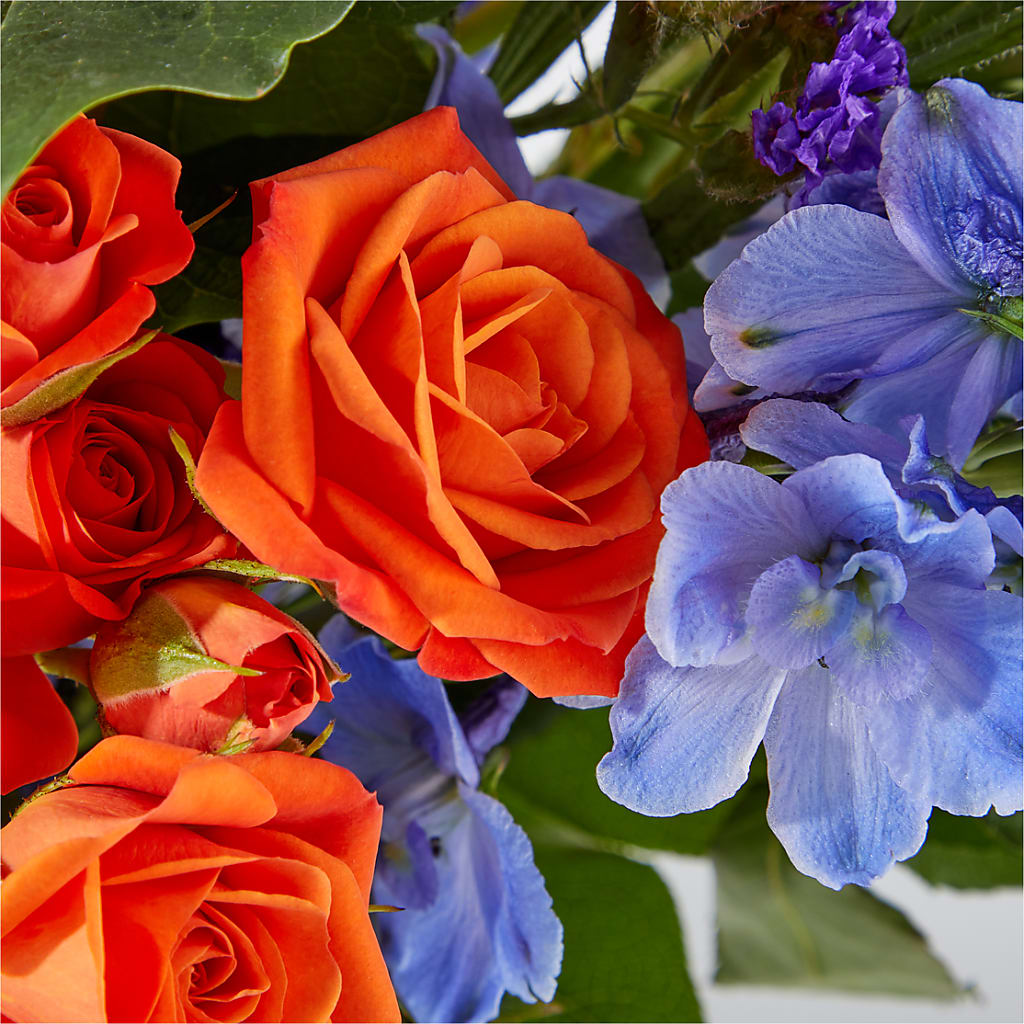 Radiant Citrus Bouquet –  Ellijay Florist And Gifts, Ellijay GA
