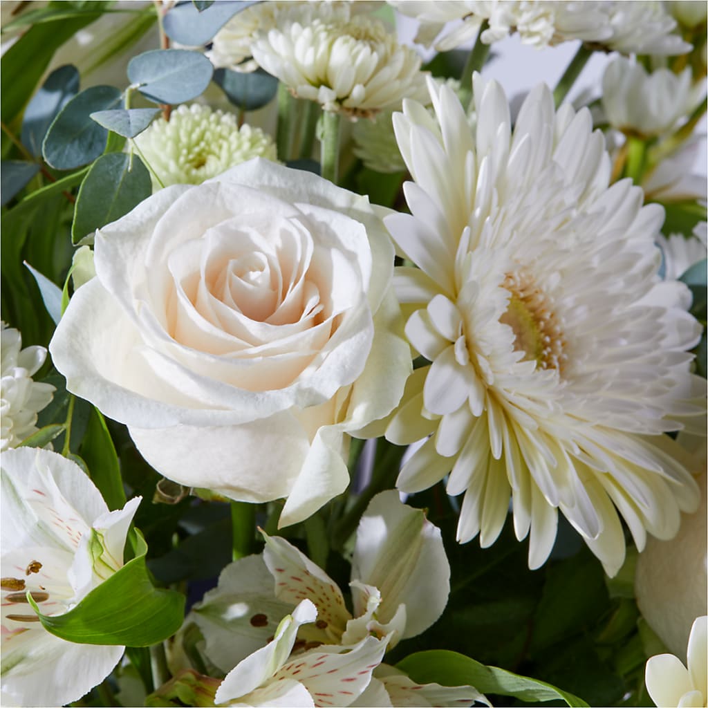 New Beginnings – A Florist Original –  Ellijay Florist And Gifts, Ellijay GA