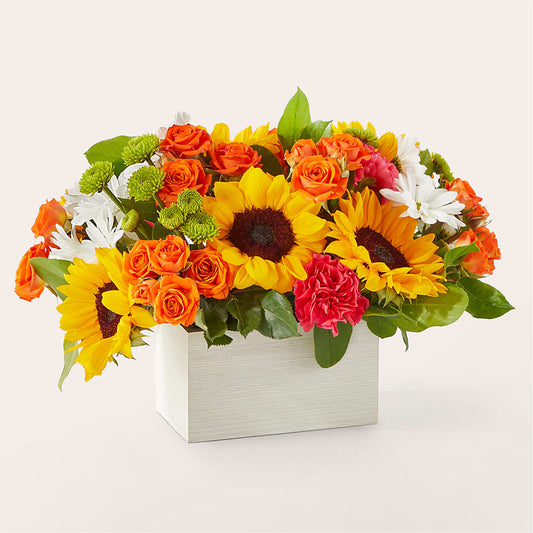 Sun-drenched Blooms Box Bouquet –  Ellijay Florist And Gifts, Ellijay GA