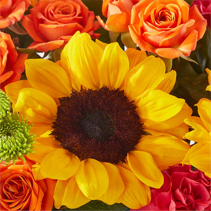 Sun-drenched Blooms Box Bouquet –  Ellijay Florist And Gifts, Ellijay GA