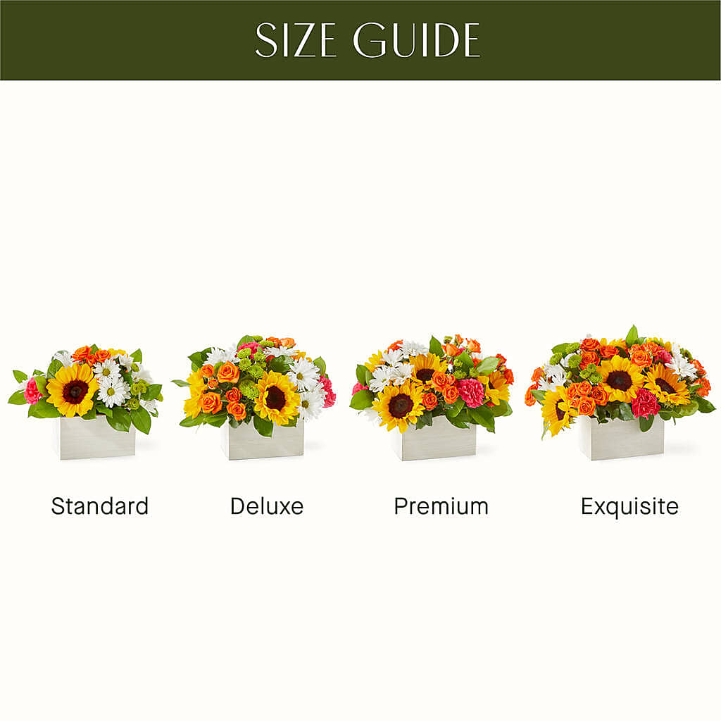 Sun-drenched Blooms Box Bouquet –  Ellijay Florist And Gifts, Ellijay GA
