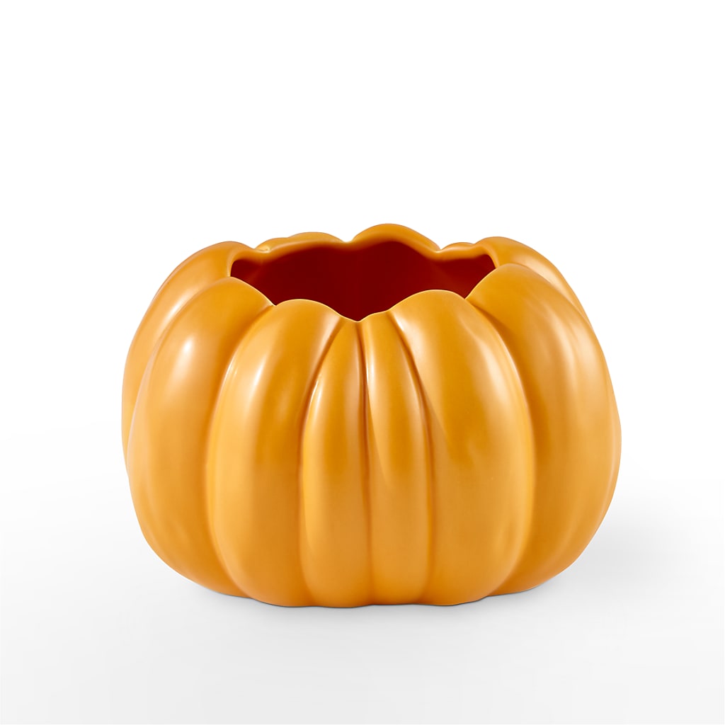 Pick of the Patch Pumpkin Bouquet –  Ellijay Florist And Gifts, Ellijay GA
