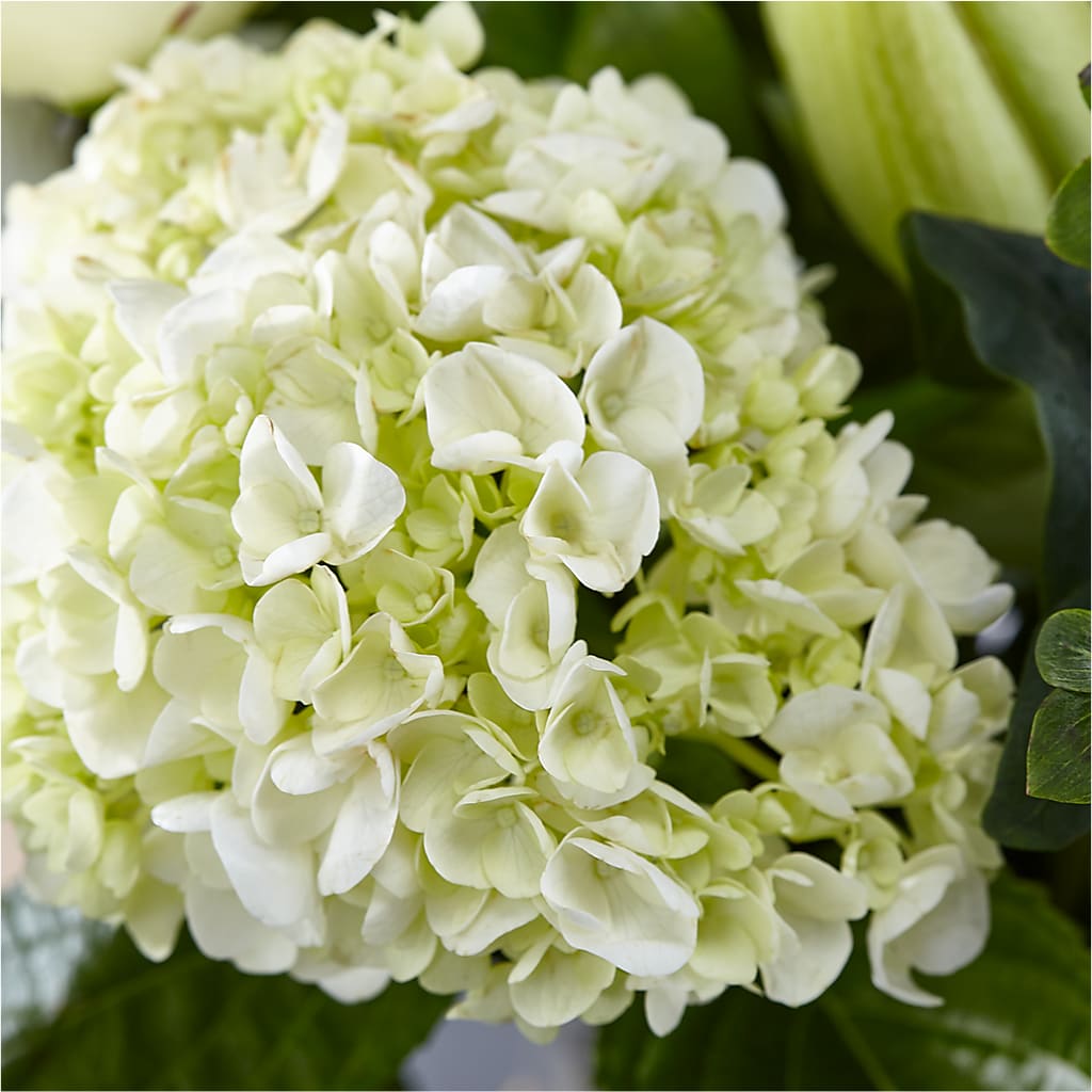 Classic Ivory – A Florist Original –  Ellijay Florist And Gifts, Ellijay GA