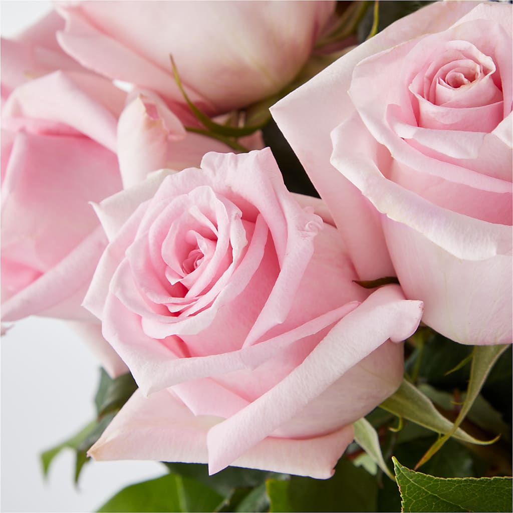Picture Perfect Pink Rose Bouquet –  Ellijay Florist And Gifts, Ellijay GA
