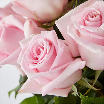 Picture Perfect Pink Rose Bouquet –  Ellijay Florist And Gifts, Ellijay GA