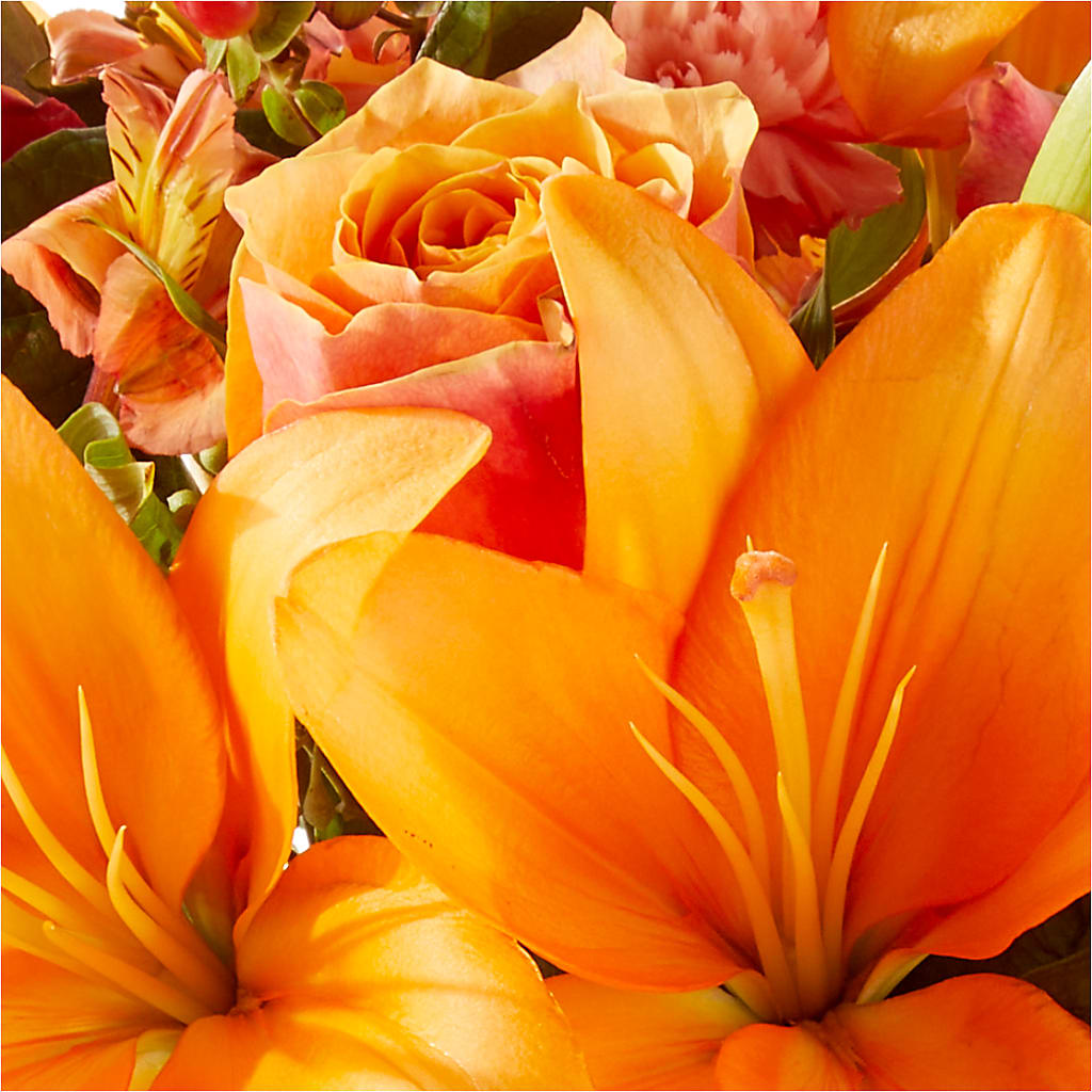 Afternoon Light Bouquet –  Ellijay Florist And Gifts, Ellijay GA