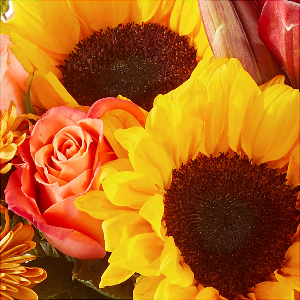 Acorn Lane Bouquet –  Ellijay Florist And Gifts, Ellijay GA