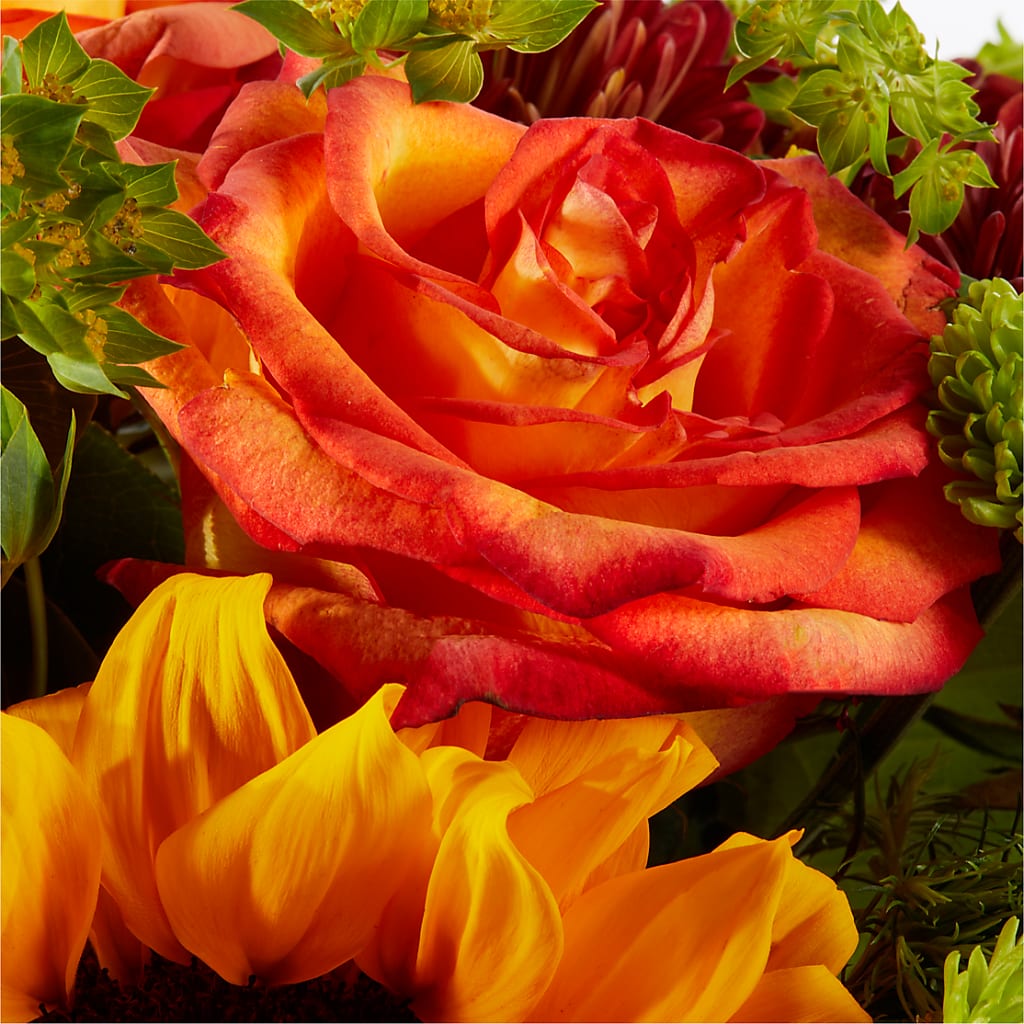 Harvest Festival Bouquet –  Ellijay Florist And Gifts, Ellijay GA
