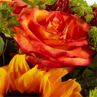 Harvest Festival Bouquet –  Ellijay Florist And Gifts, Ellijay GA