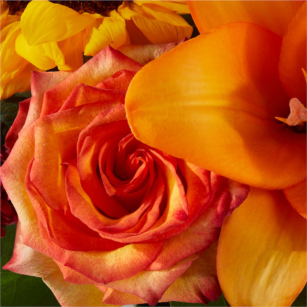 Grateful Centerpiece –  Ellijay Florist And Gifts, Ellijay GA